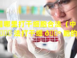 中国哪里打干细胞合法（中国合 🕊 法打干细 🐺 胞的公司）